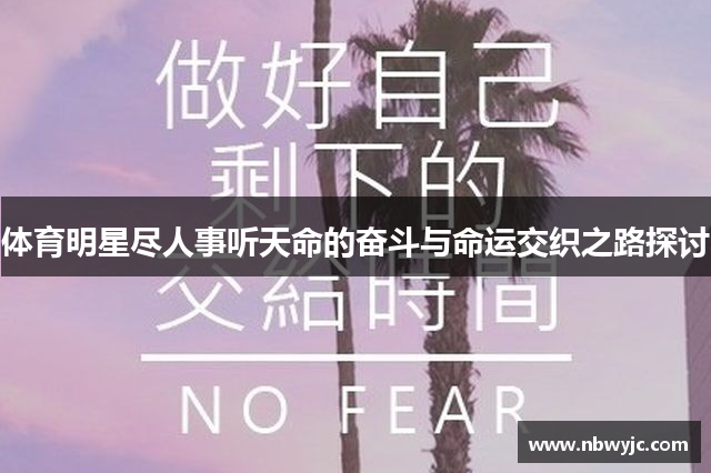 体育明星尽人事听天命的奋斗与命运交织之路探讨