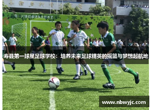 寿县第一球星足球学校：培养未来足球精英的摇篮与梦想起航地